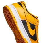 Nike Dunk Low ‘Goldenrod’ DD1391-004  Braceitbetter Store